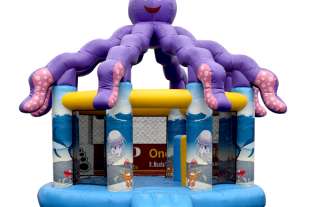 foto_1312191576246565