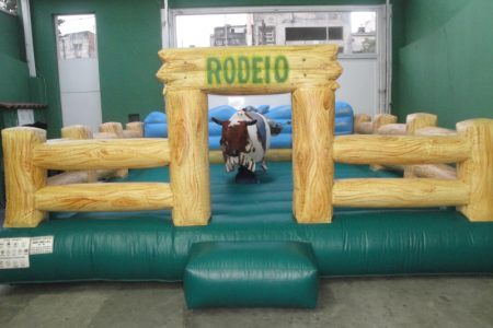 foto_1412151450101310