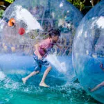 39686540183_b7344d7007_b