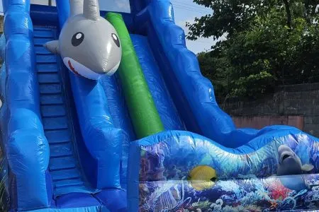 WhatsApp Image 2025-07-04 at 16.38.55