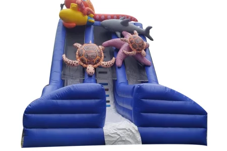 foto_1908191566225704